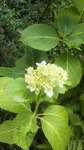 2013052907550000.jpg
