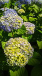 2016060313370002.jpg