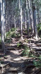 2014061409300000.jpg