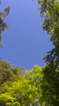 2017092911450000.jpg
