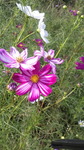 2017092515070001.jpg