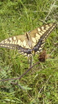 2014090609130001.jpg