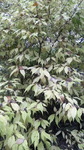 2017101715000000.jpg