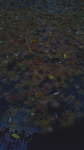 2017102916400001.jpg