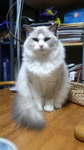 2016110920390000.jpg