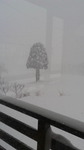 2017122709140000.jpg
