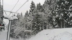 2017123008360001.jpg