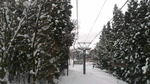 2017123108340000.jpg