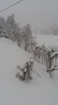 2018013008500000.jpg