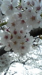 2018041318080002.jpg