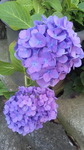 2018060406510000.jpg