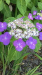 2016060313460000.jpg