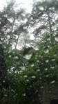 2018061011180000.jpg