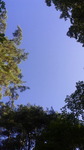 2018073107070000.jpg
