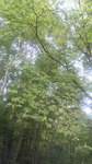 2018092412430000.jpg