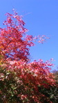 2018103011510000.jpg