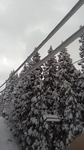 2019010908523701.jpg