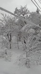 2019010908530501.jpg