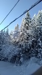 2019011708483501.jpg