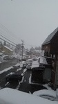 2019011809101601.jpg