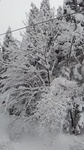 2019012508382801.jpg