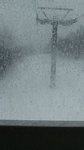 2019020408561001.jpg