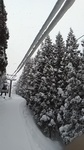 2019021008205801.jpg