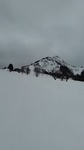 2019022008562601.jpg