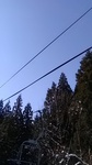 2019032509001701.jpg