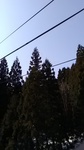 2019032709103101.jpg