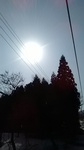 2019032709110101.jpg