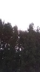 2019032908365801.jpg