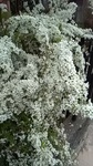 2019040111174901.jpg