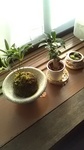 2019040316431401.jpg