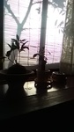 2019040316424301.jpg