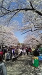 2019040411341201.jpg