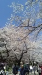 2019040411340701.jpg