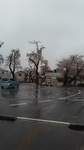 2019041010063401.jpg