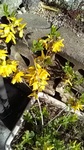 2019041115521101.jpg