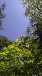 2019053010411901.jpg