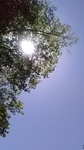 2019053010413101.jpg