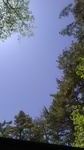 2019053010413701.jpg