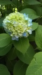 2019060409423201.jpg
