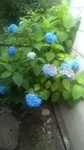 2019061814455301.jpg