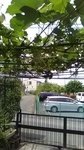 2019060409425601.jpg