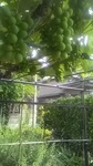 2019061814453301.jpg