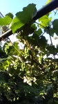 2019062506020701.jpg