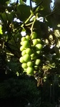 2019062506024201.jpg