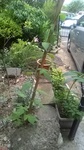 2019062206370801.jpg