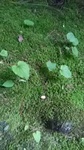 2019062911164601.jpg